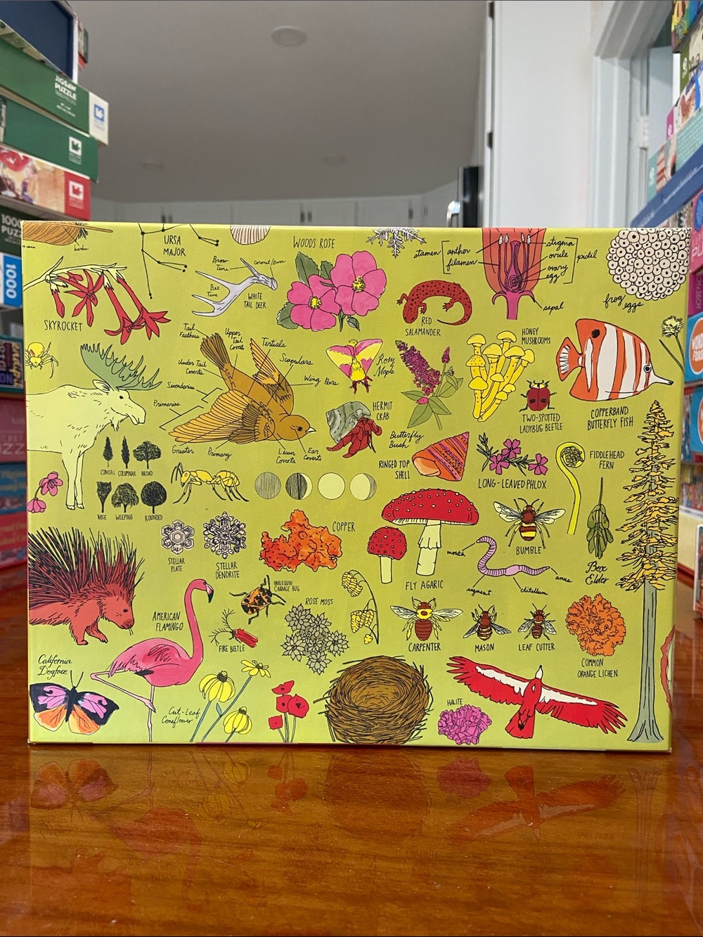 Nature Anatomy - 500 Piece Puzzle